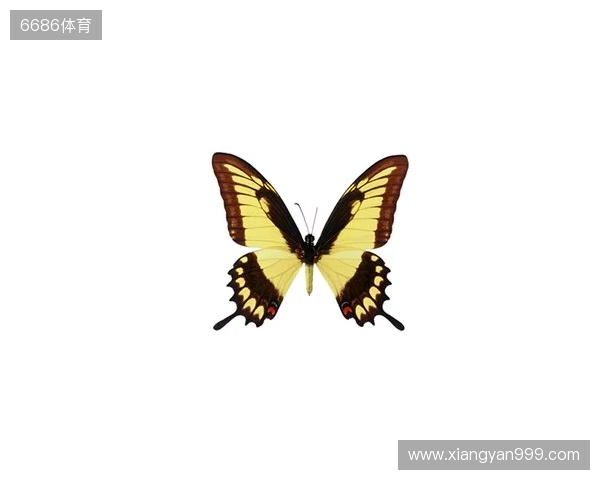 破茧成蝶:Legacy如何登顶南美、跻身世界顶尖行列 破茧成蝶:Legacy如何登顶南美、跻身世界顶尖行列